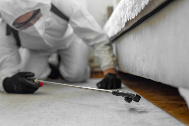 Professional Termite Control technician working in Oak Hills, OR