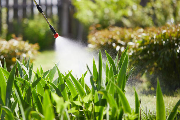 24/7 Emergency Termite Control experts in Oak Hills, OR